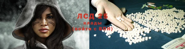 jwh Алзамай