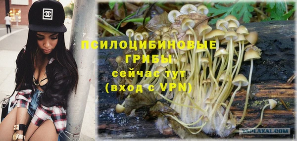 гидропоника Алексин