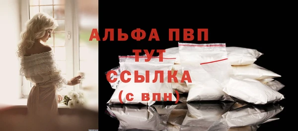 спайс Магас
