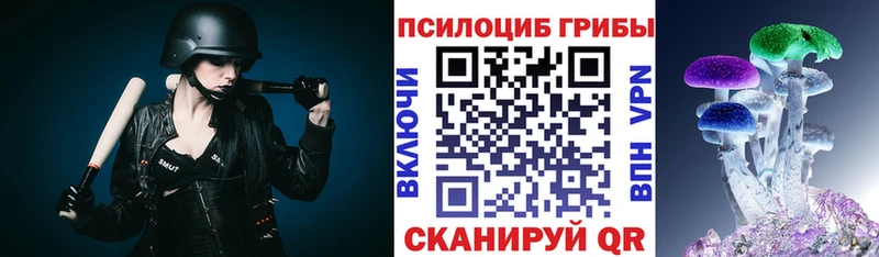 блэк спрут ССЫЛКА  Брянск  Галлюциногенные грибы Psilocybine cubensis 